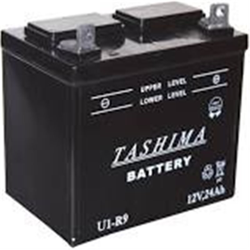 TASHIMA Batterie pour tondeuses autoportées 12V, 18A