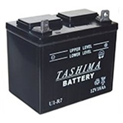 TASHIMA Batterie pour tondeuses autoportées 12V, 18A