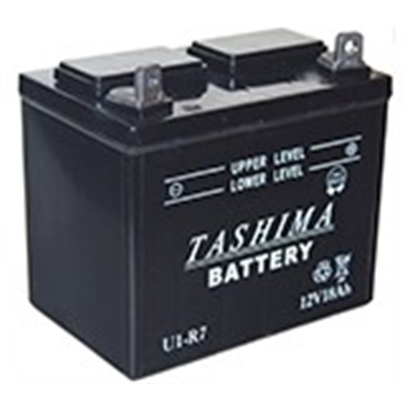 TASHIMA Batterie pour tondeuses autoportées 12V, 18A