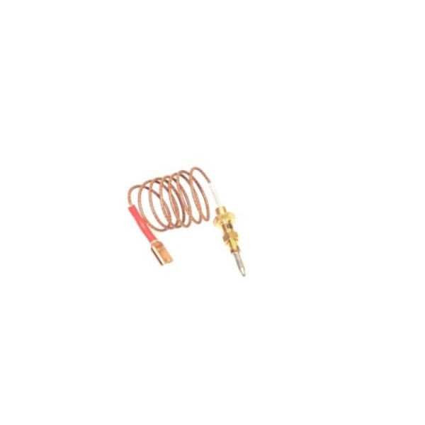 https://www.misterpieces.com/745-large_default/9606211-thermocouple-600mm-sabaf-0810-foster.jpg