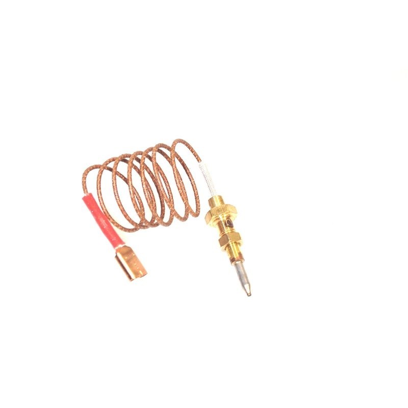 https://www.misterpieces.com/745-large_default/9606211-thermocouple-600mm-sabaf-0810-foster.jpg