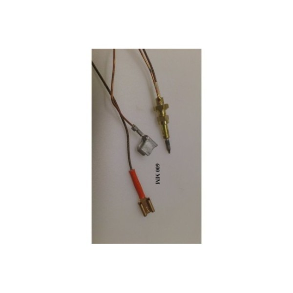 https://www.misterpieces.com/746-large_default/9606212-thermocouple-600mm-tc-0947-600-foster.jpg