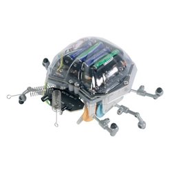 Kit robot "Ladybug"
