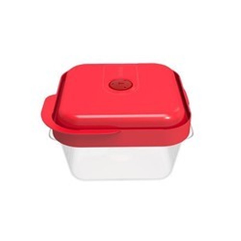 MastersealBox boites carrée Small 0.8L