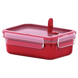 MASTERSEAL MICRO rectangle  0.55L ROUGE
