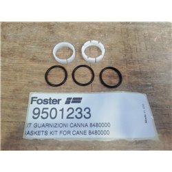 Kit joints pour canne pour mitigeur Foster 9501233