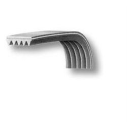 Courroie 1205 J5 pour...