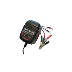 Chargeur aotomatique de batterie 6V/12V 900mA