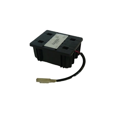 Batterie tondeuse avec moteur Briggs et Stratton