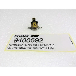 Thermostat Foster 60na...