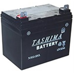 Batterie pour tondeuse...