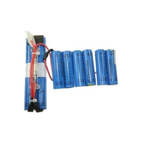 Batterie aspirateur 1.2V AA 1300mAh Ergo rapido Electrolux 4055132304