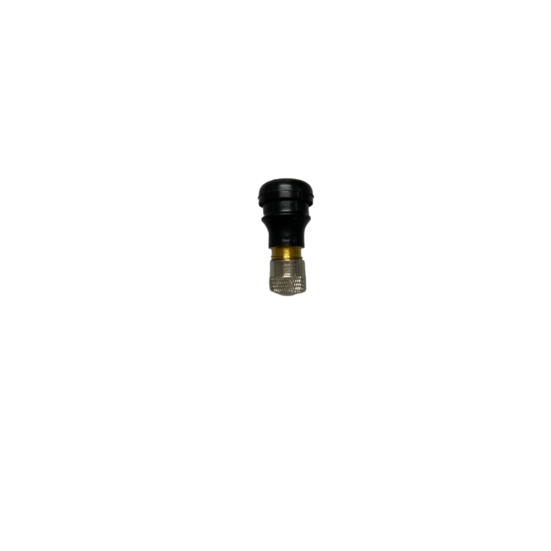 Valve universelle Xiaomi pour pneu de trottinette électrique - 700204001