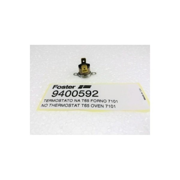 https://www.misterpieces.com/32167-large_default/thermostat-foster-60na-16a-9400592.jpg