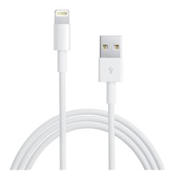 Câble Lightning USB 1m Apple
