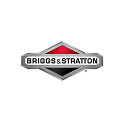 Briggs & Stratton