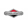 Briggs & Stratton