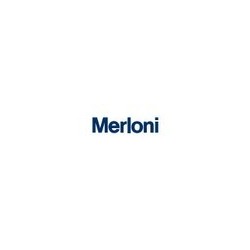 Merloni