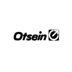 Otsein