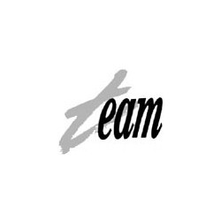 Team international